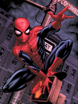 Spider Man - Poster 